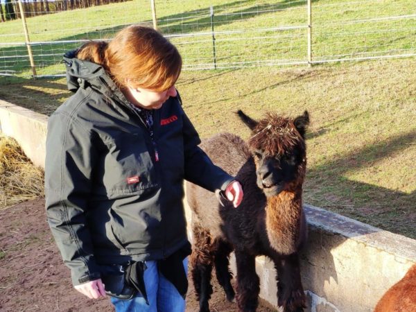 Weidebesuch